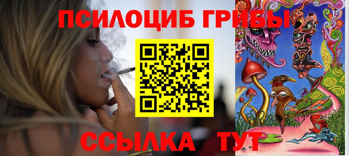 Галлюциногенные грибы Psilocybine cubensis Апрелевка