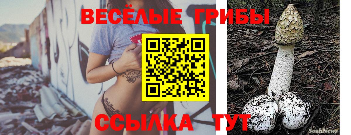 Псилоцибиновые грибы GOLDEN TEACHER  Псилоцибиновые грибы ЛСД  Апрелевка  Вход с VPN 